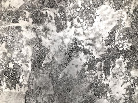 Reference Dekoračních Stěrek 123