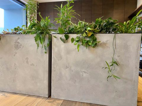 Reference Dekoračních Stěrek 21